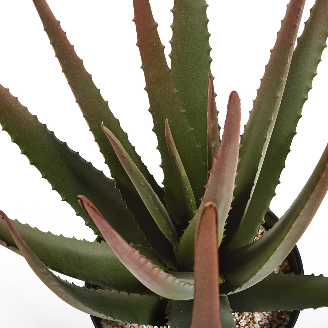 Cactus Artificial Aloe - Decoración Natural Y Sin Mantenimiento 0.81 M / Multicolor_1
