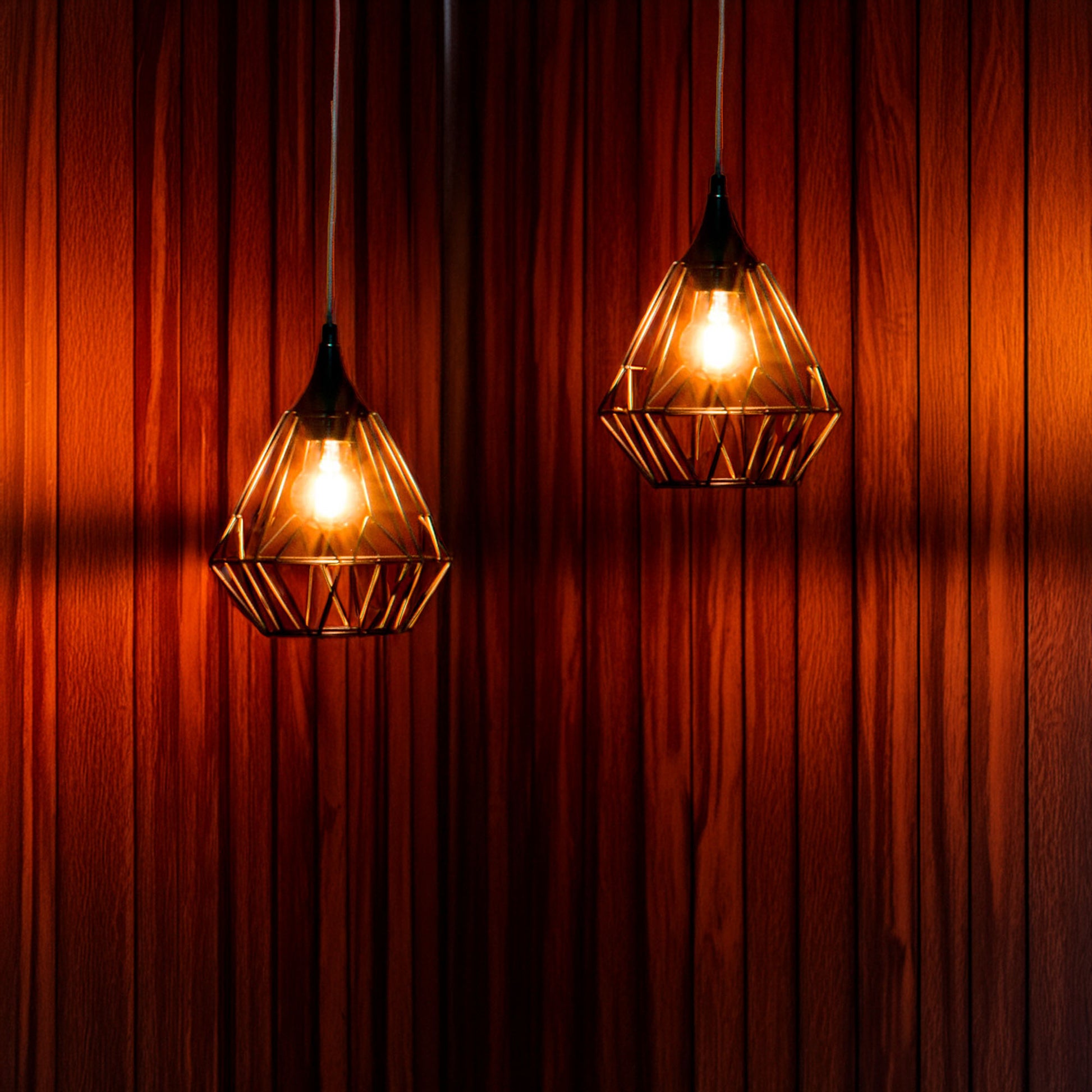 Wellhome Lámpara Techo Suspensión Metálico Negro D.19 H.27cm_3