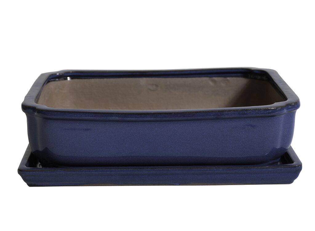 Tiesto Laxe Azul Con Plato 27x21x8cm_0