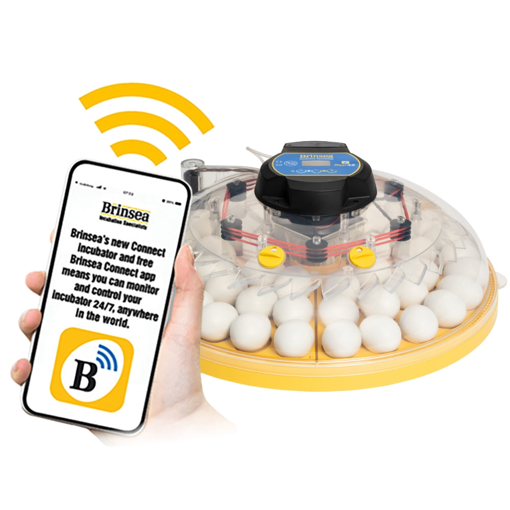Incubadora Brinsea MAXI 48 Connect - Control Remoto Desde El Móvil, Programación Digital De Temperatura, Humedad Y Vo_0