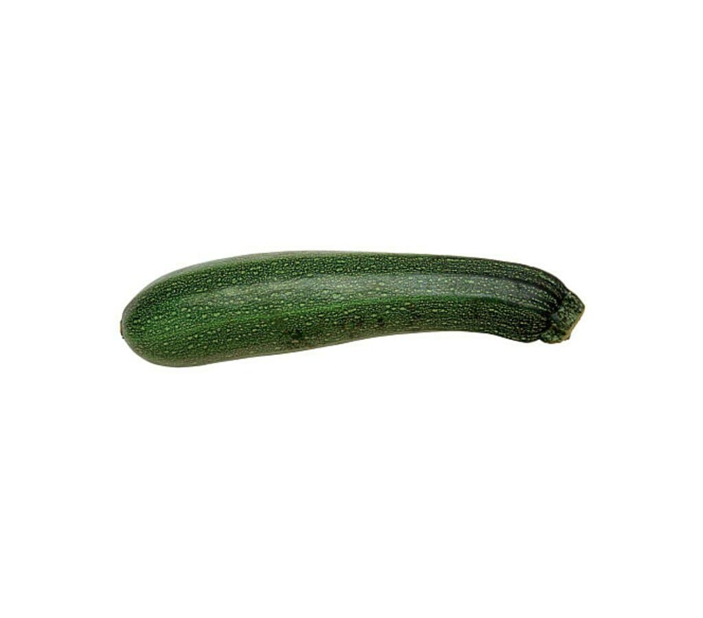 Calabacin Verde M11  (cucurbita Pepo)_0