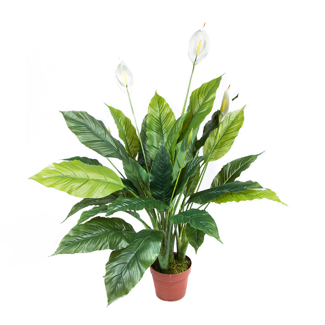 Planta Artificial Vela Del Viento - Decoración Natural Sin Mantenimiento 1.05 M / Multicolor_0