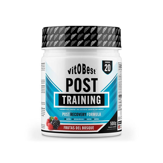 Post Training 500 Gr Frutas