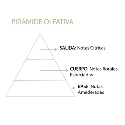Esencia Natural Bergamota SYS Aromas 12 ml | Aroma Cítrico y Floral | Para Quemadores y Humidificadores_4
