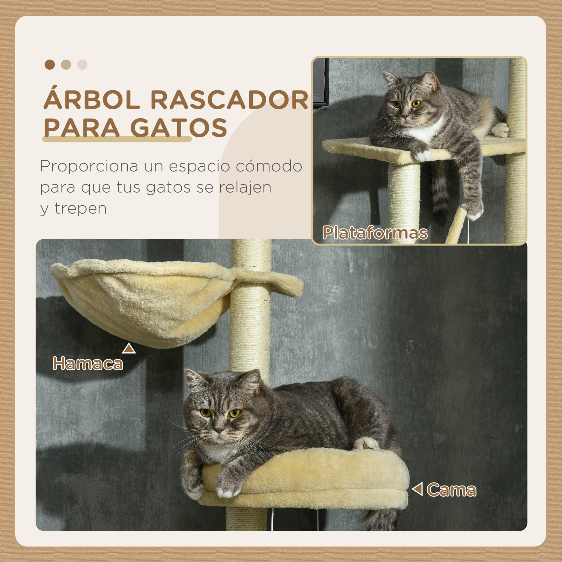 Pawhut Árbol Para Gatos De Suelo A Techo De 230-250cm Con Altura Ajustable Beige_3