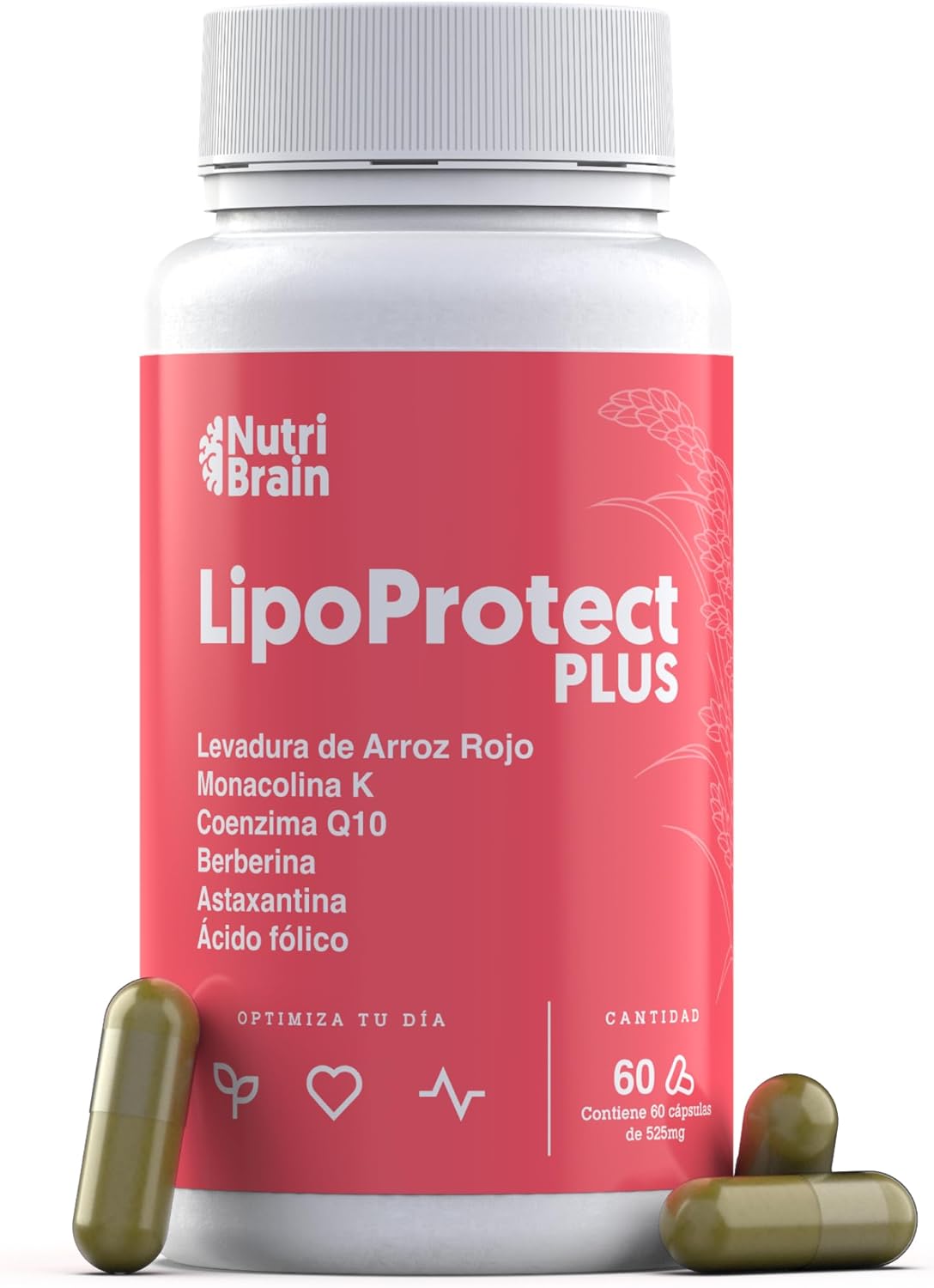 Lipoprotect Plus Con Monacolina K Para Colesterol Nutribrain 60 Cápsulas_0