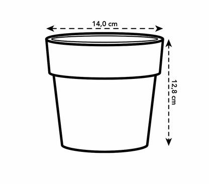 Macetero B.for Original Negro 14cm_2