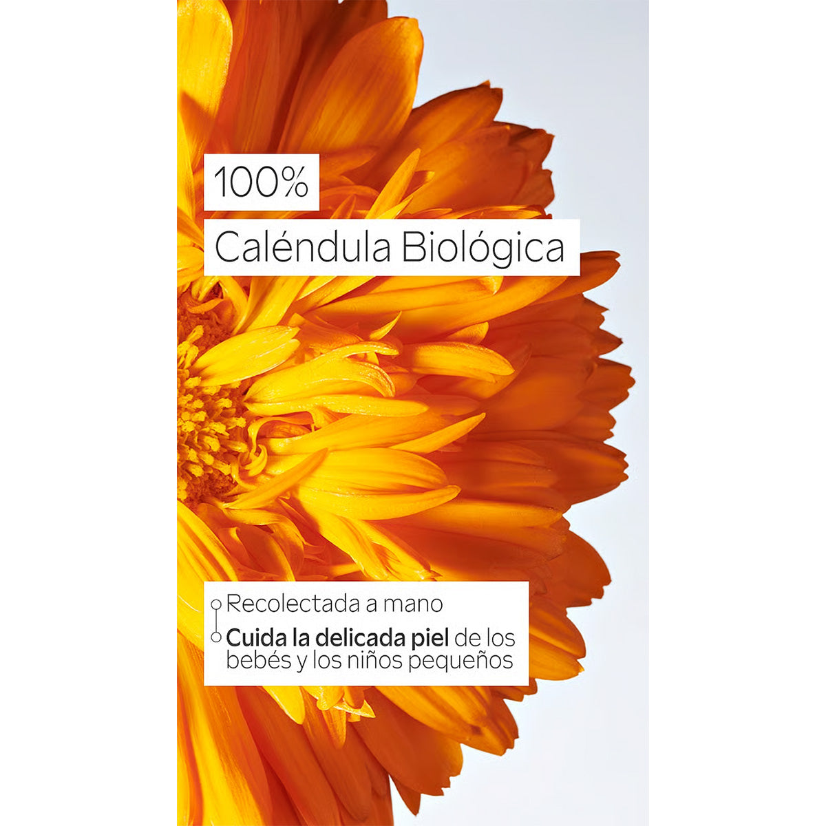 Bálsamo Intensivo para Bebé de Caléndula Multiusos 50 ml