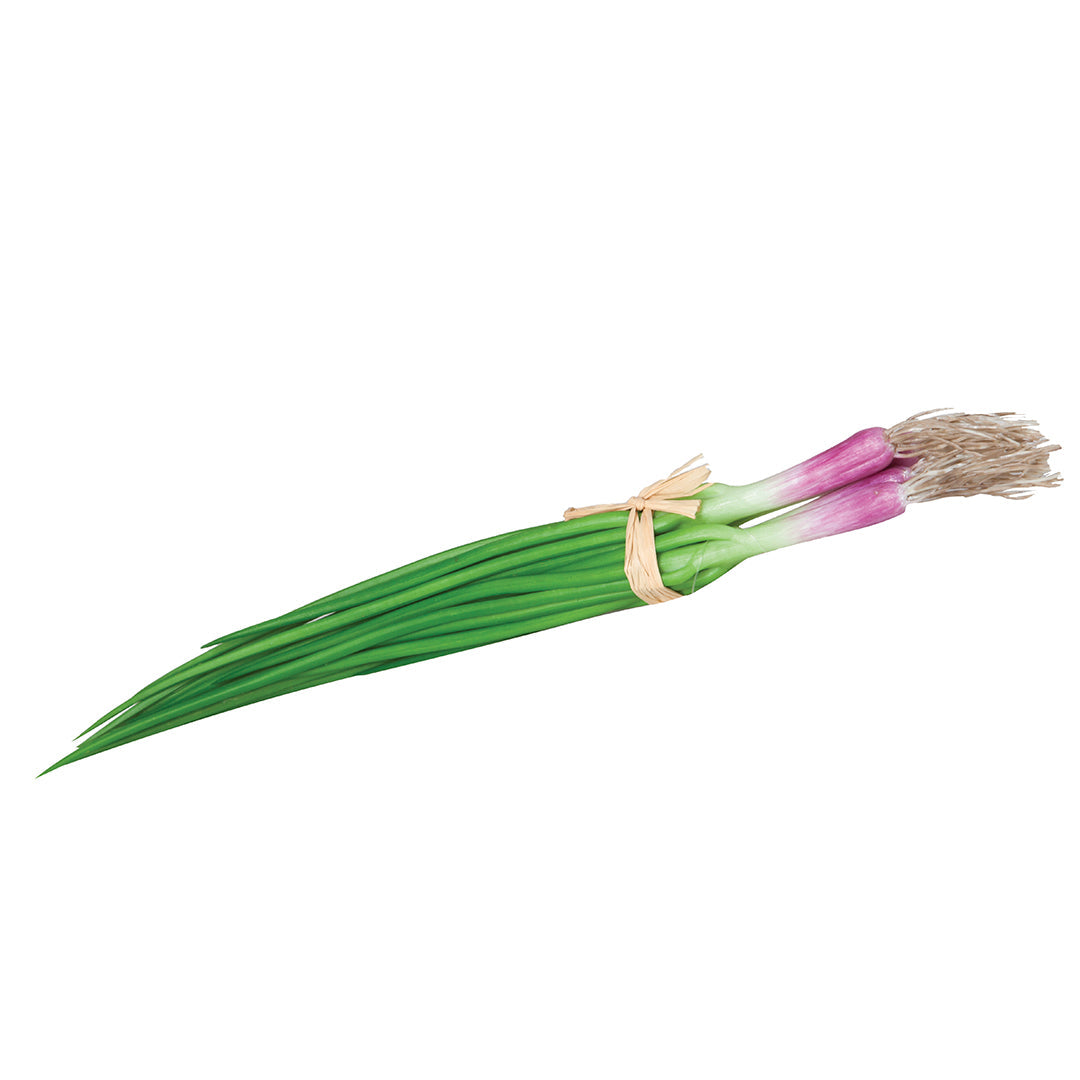 Ajos Tiernos - Decoración Duradera Y Elegante 0,084 M / Multicolor_0