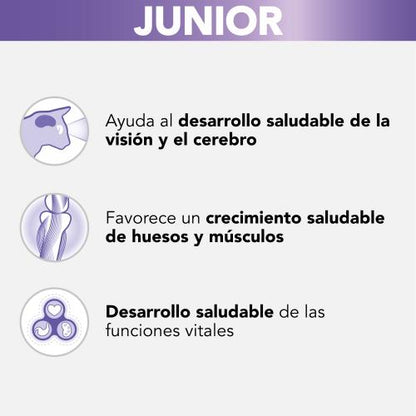 PRO PLAN Gato Kitten Pavo en Salsa 85 g