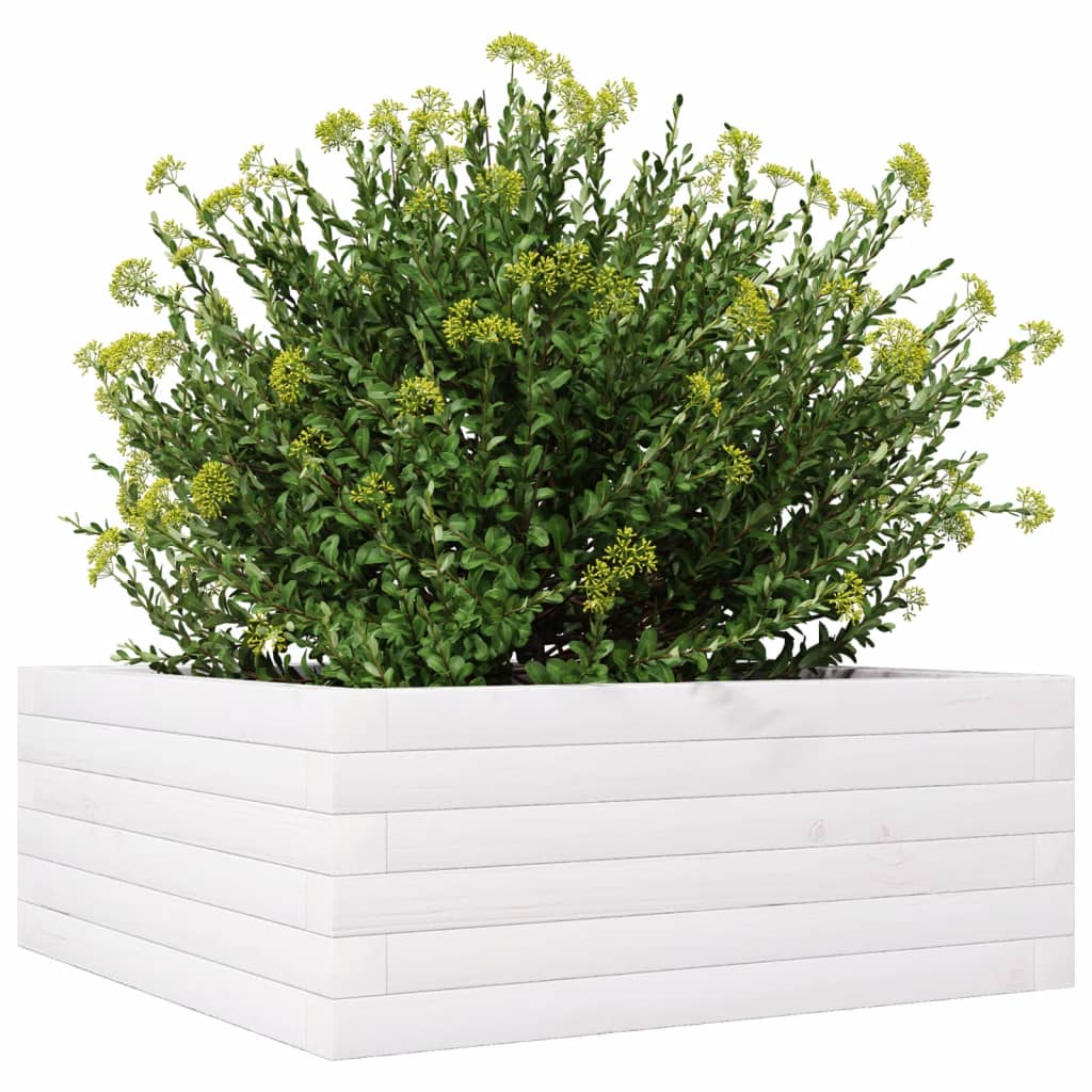 Jardinera De Madera Maciza De Pino Blanca 60x60x23 Cm_3