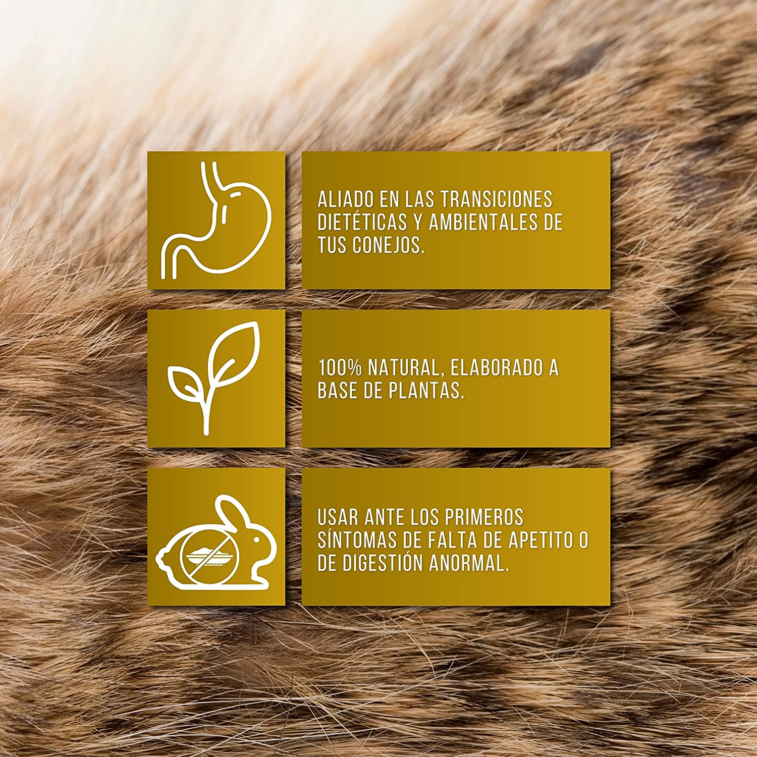 CuniDigest  – Complemento nutricional líquido (250ml) para conejos – Apoyo digestivo en periodos sensibles_1