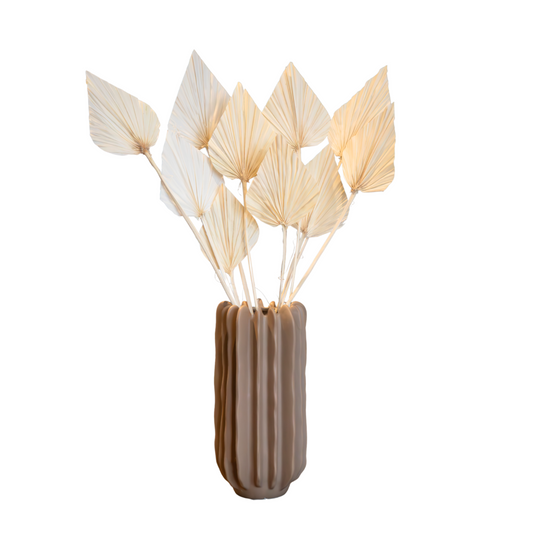 Flores Secas - 10 Pzs - Ramo 'palmspear Bleached White'