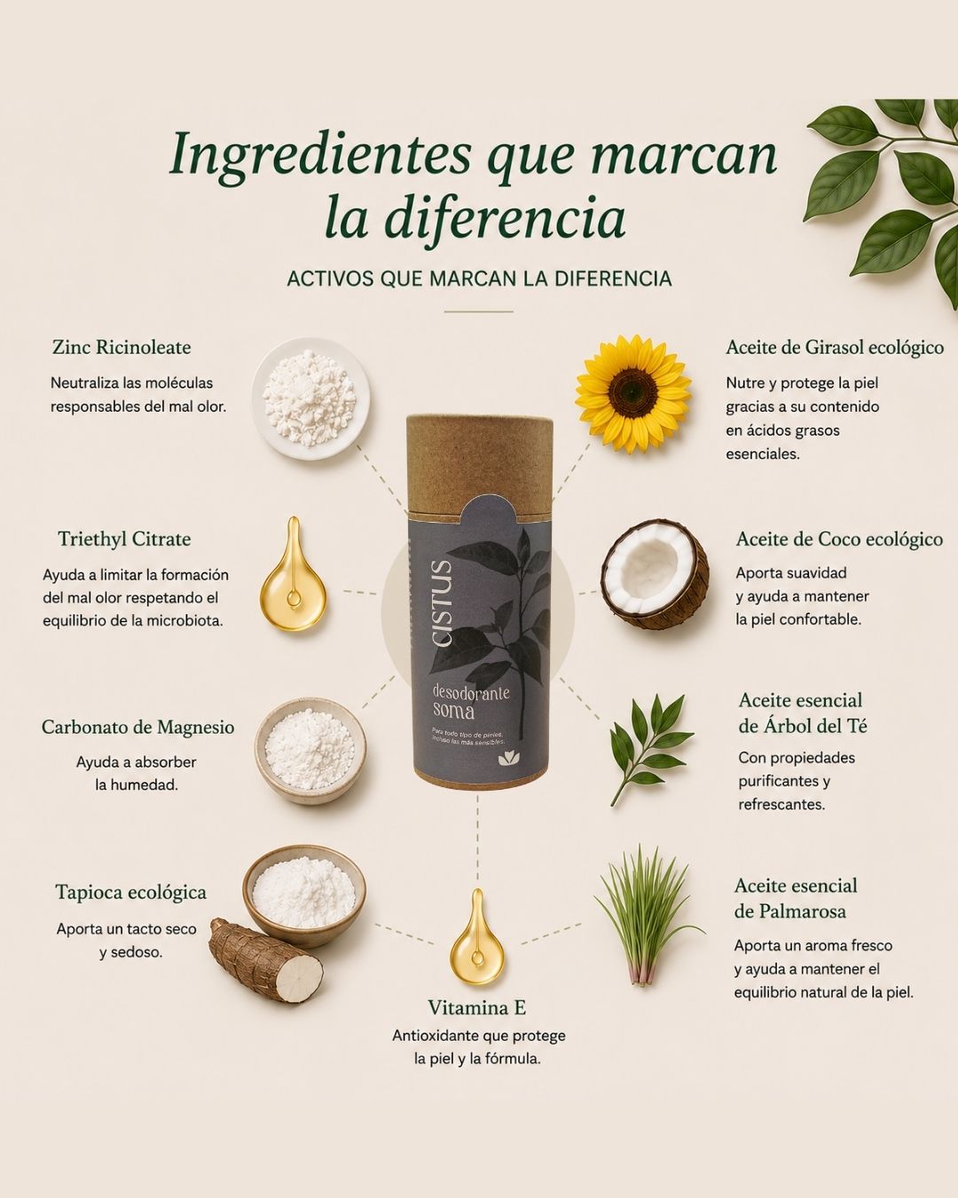 Desodorante sólido natural sin aluminio con árbol del té y palmarosa | SOMA 80 ml_2