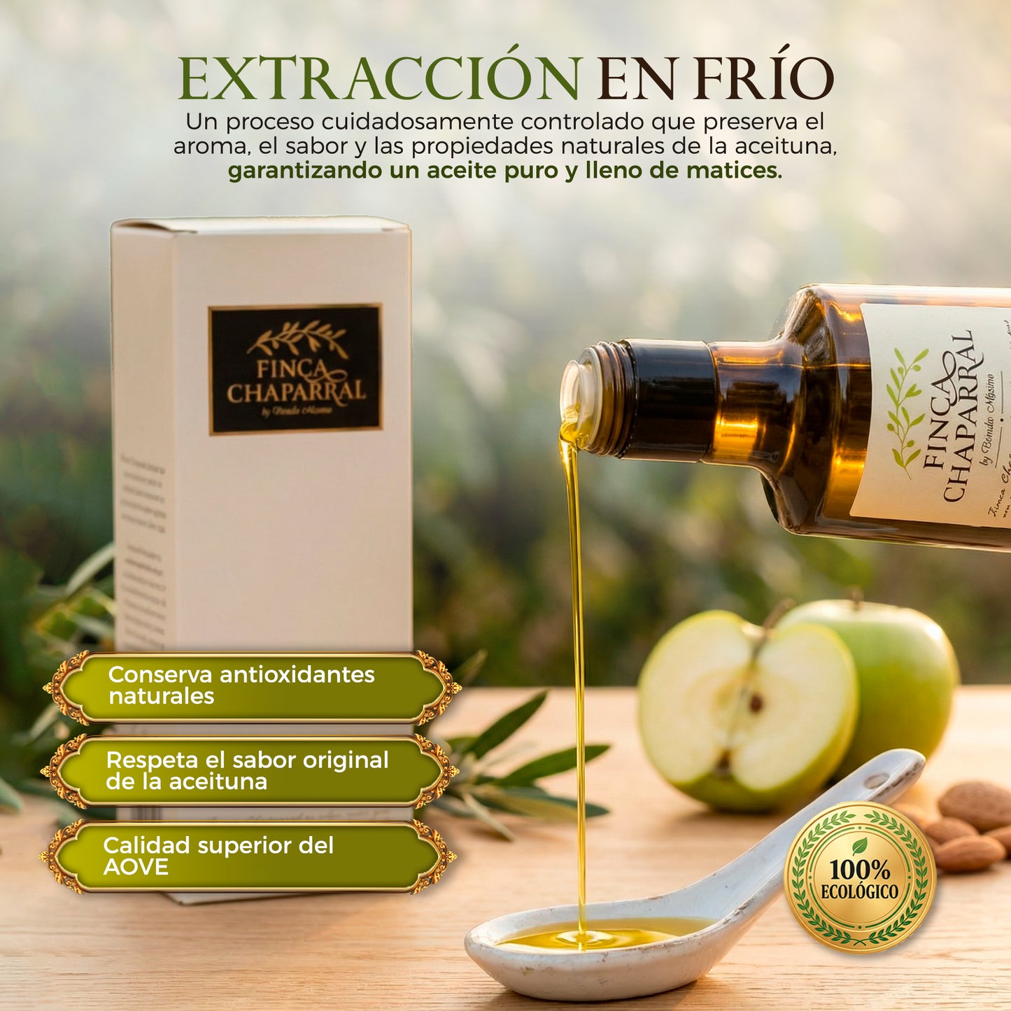 Aceite Oliva Virgen Extra Picual Ecológico_3