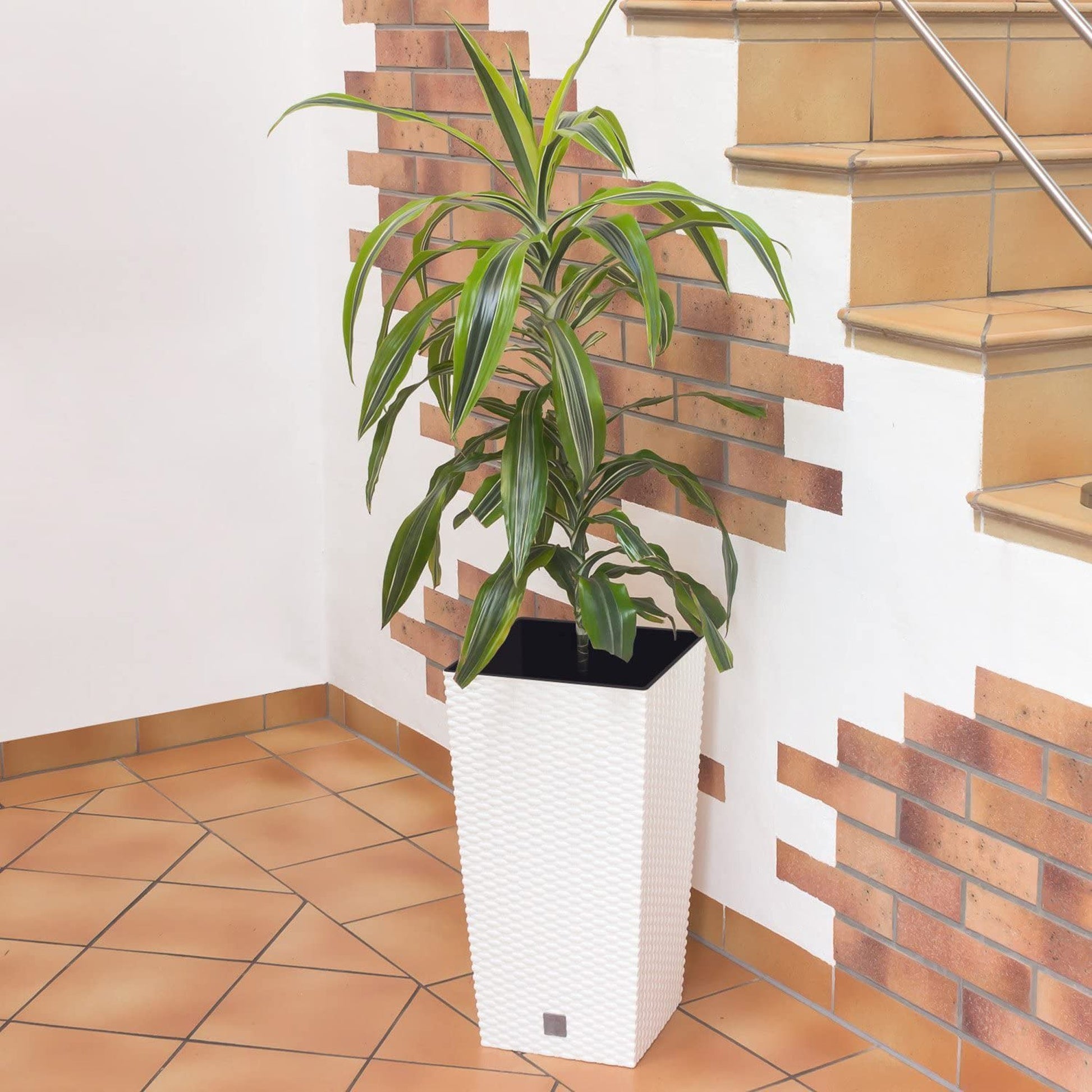 Maceta Rato De 35 Litros Con Inserto 28,7 X 28,7 X 55 Cm En Color Blanco_4