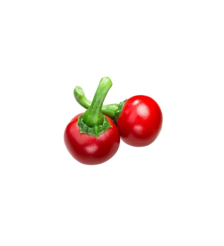 Plantón Pimiento Guindilla Redonda Picante (10 Unidades)_0