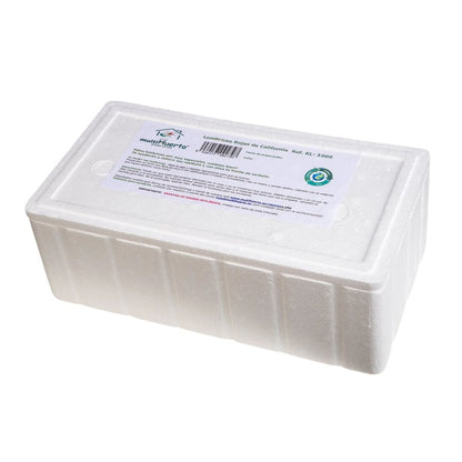 Lombrices rojas californianas para vermicompost Multihuerto 500 ud