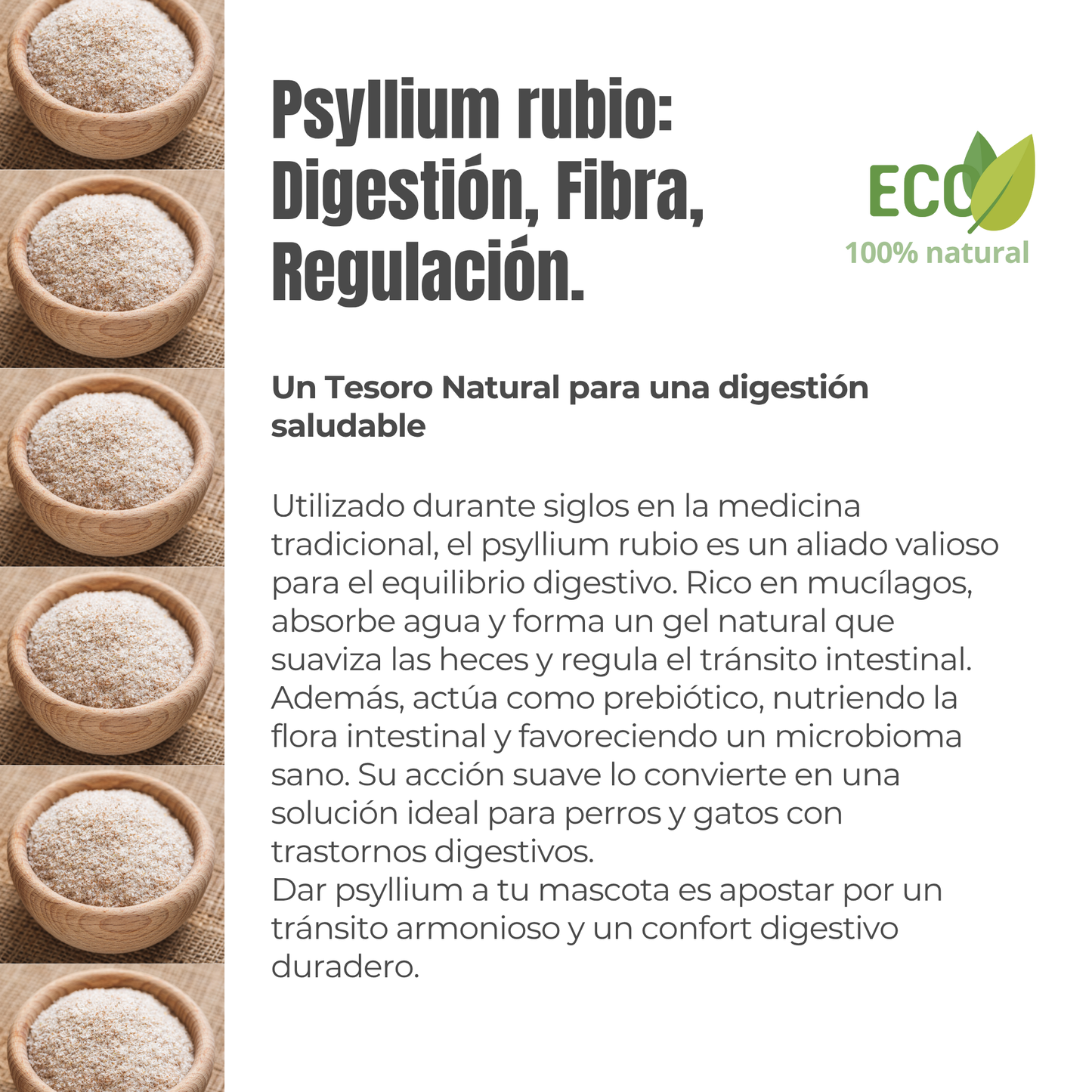 Suplemento natural para el tránsito intestinal de perros y gatos – Psyllium ECO 300 g_2