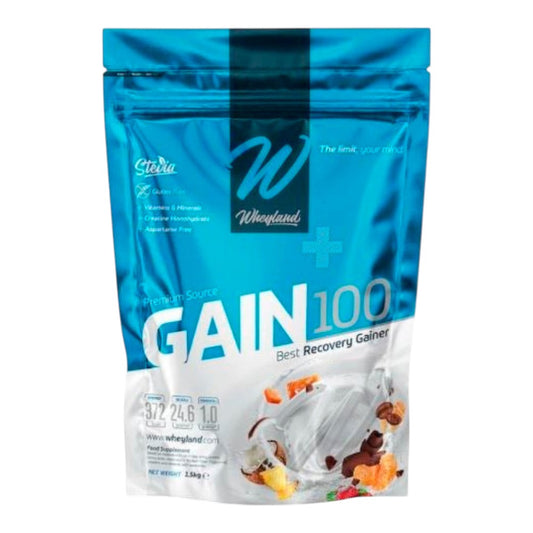 Gain 100 3 Kg Chocolate_0