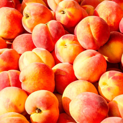 Pack 3x Fragancias Lámpara Catalítica 200ml: 2 Aroma Peach Velvet + Limpiador Neutro. Disfruta De Tu Aroma Favorito_2