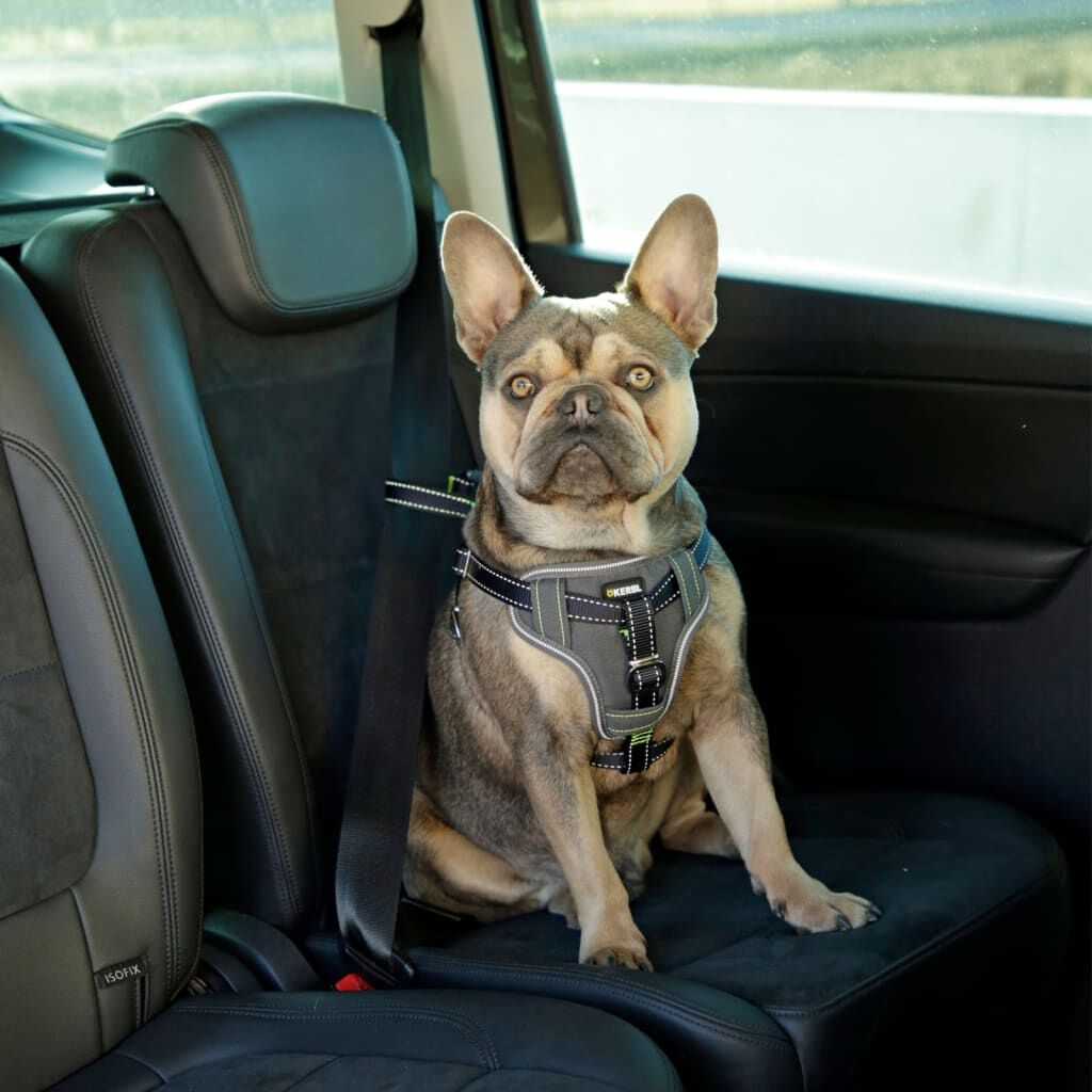 Kerbl Arnés De Seguridad De Coche Para Mascotas Negro 50-65 Cm_1