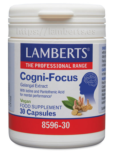 Cogni-Focus Galangal +B5 + Yodo Lamberts