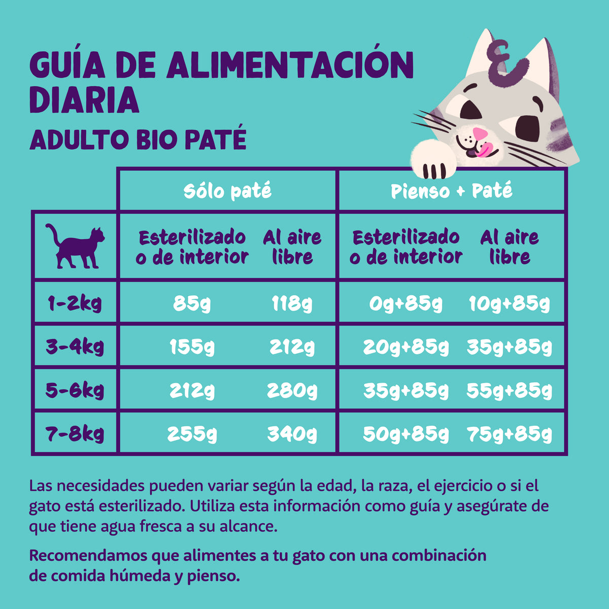 Paté ecológico de salmón y pollo para gato adulto Edgard & Cooper 85 g