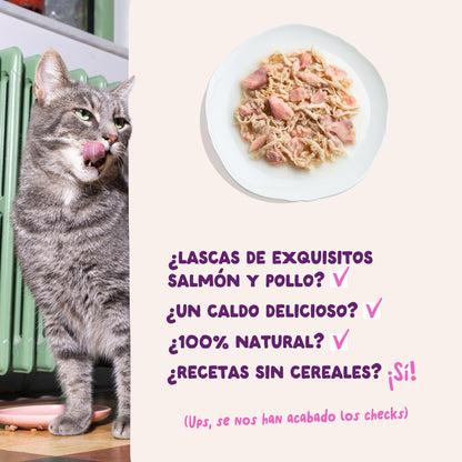 Filetes de salmón y pollo para gatos Edgard & Cooper 70 g