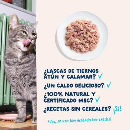 Filetes de atún con calamar para gatos Edgard & Cooper 70 g