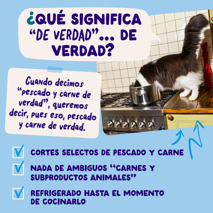 Sobres de comida húmeda para gatos Captura del Día Selección de Pescado en Salsa | Edgard & Cooper 85 g
