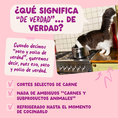 Sobres para gatitos Pato & Pollo en Salsa | Edgard & Cooper 85 g