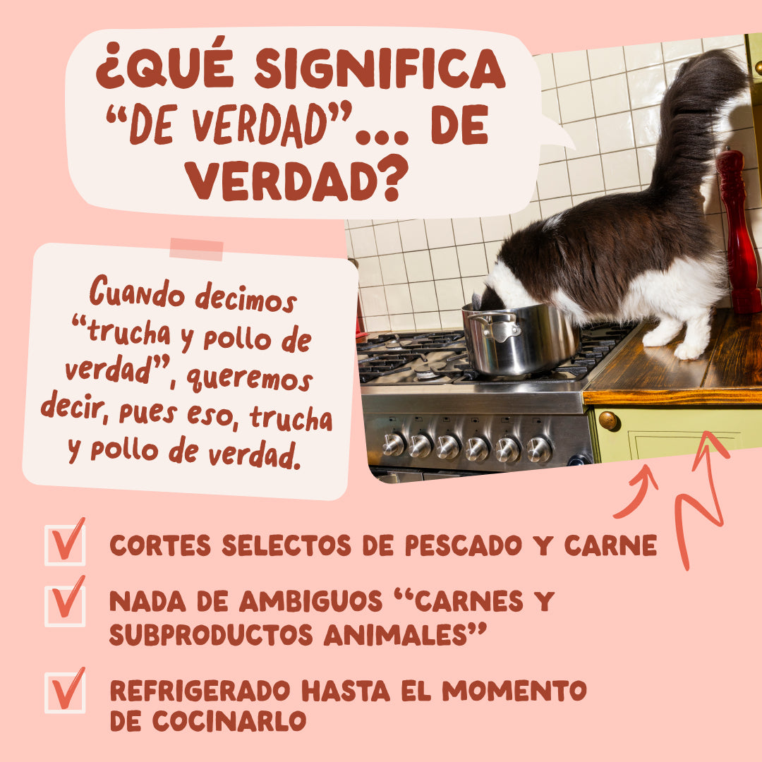 Sobres de comida húmeda Trucha & Pollo en Salsa para Gatos Adultos | Edgard & Cooper 85 g