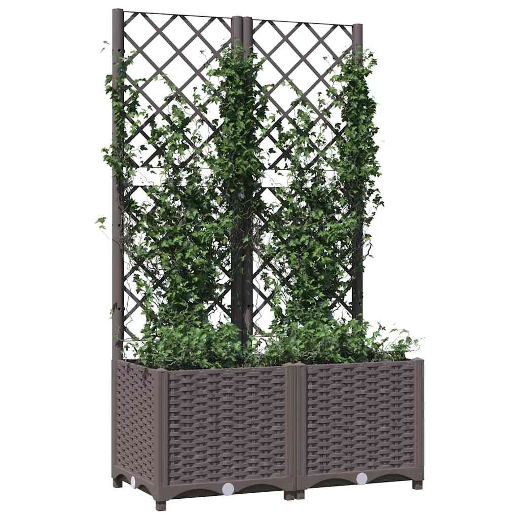 Jardinera Con Enrejado Pp Marrón 80x40x136 Cm_2