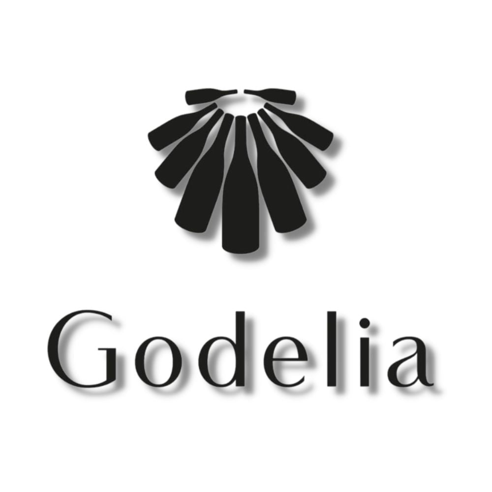 Godelia Vino Rosado - Mencía - 2021_3