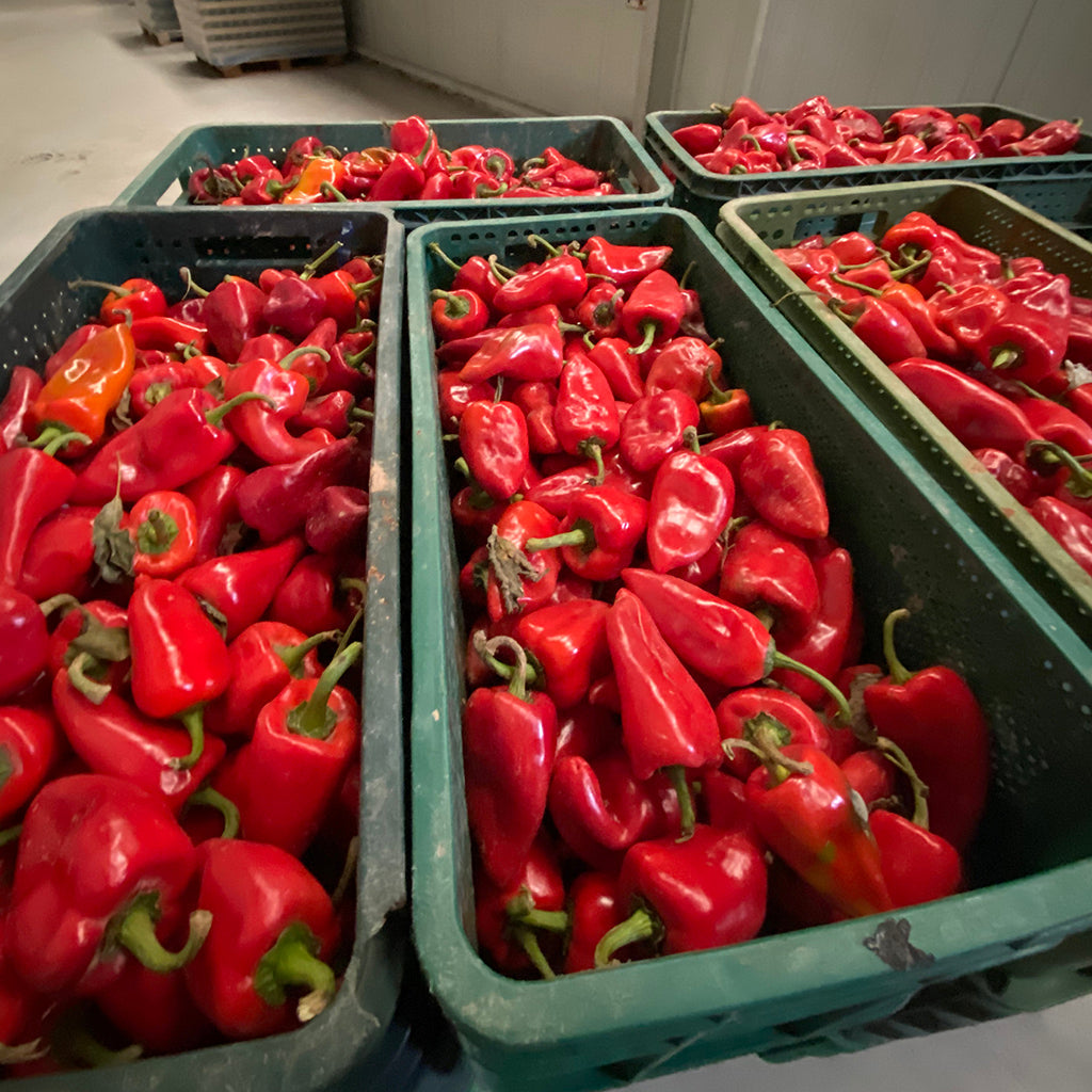 Pimiento Del Piquillo Extra Eco 290g._3