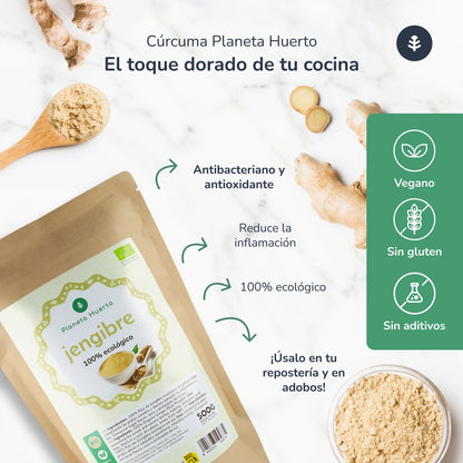 Jengibre en polvo ECO Planeta Huerto 500 g