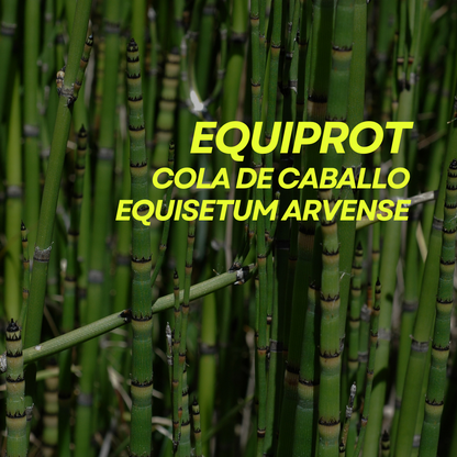 Fortificante ecológico de cola de caballo para plantas Equiprot Prot-eco 250 ml + pipeta dosificadora 5 ml gratis_5