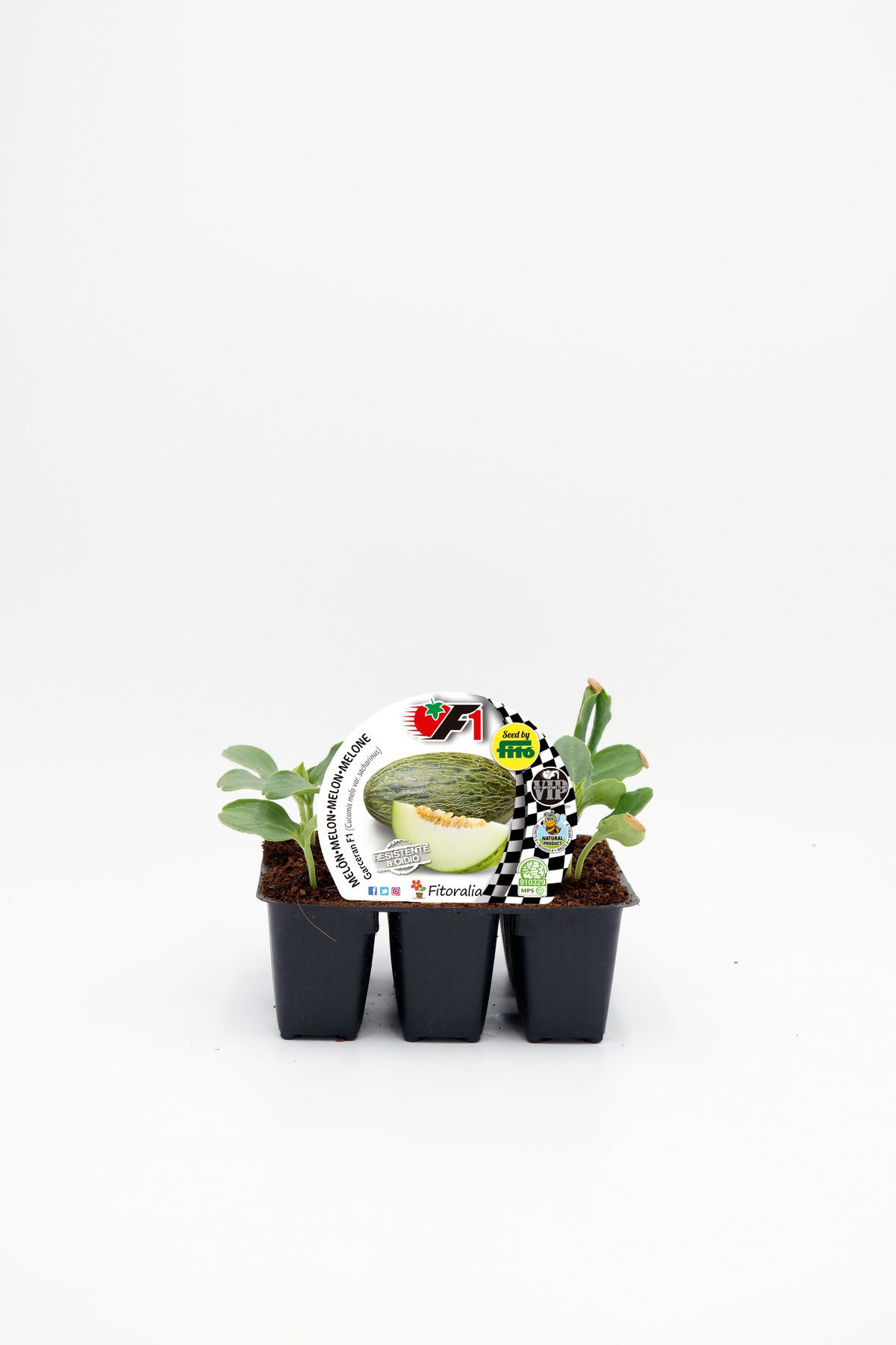 Pack plantones melón Garceran híbrido 6 ud. natural - Fitoralia_0