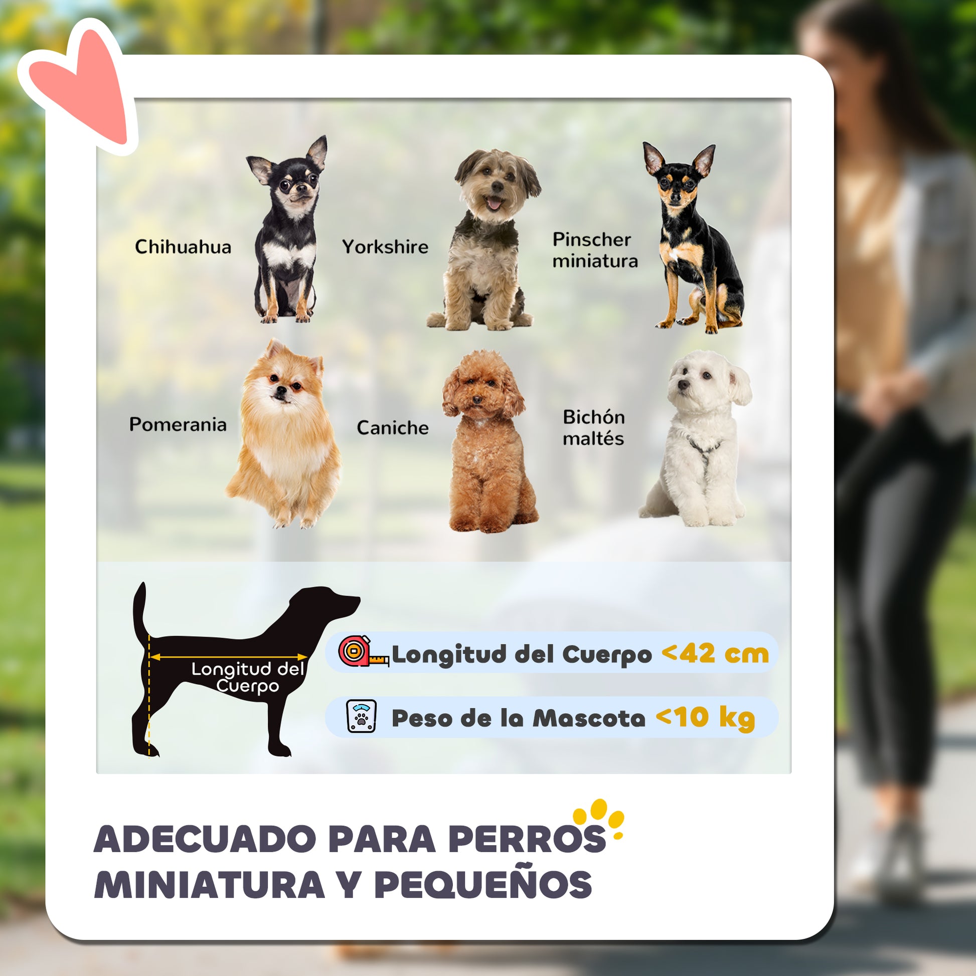 Pawhut Carrito Para Perros Plegable Con Cesta Capota Ajustable Y Ruedas Gris_3