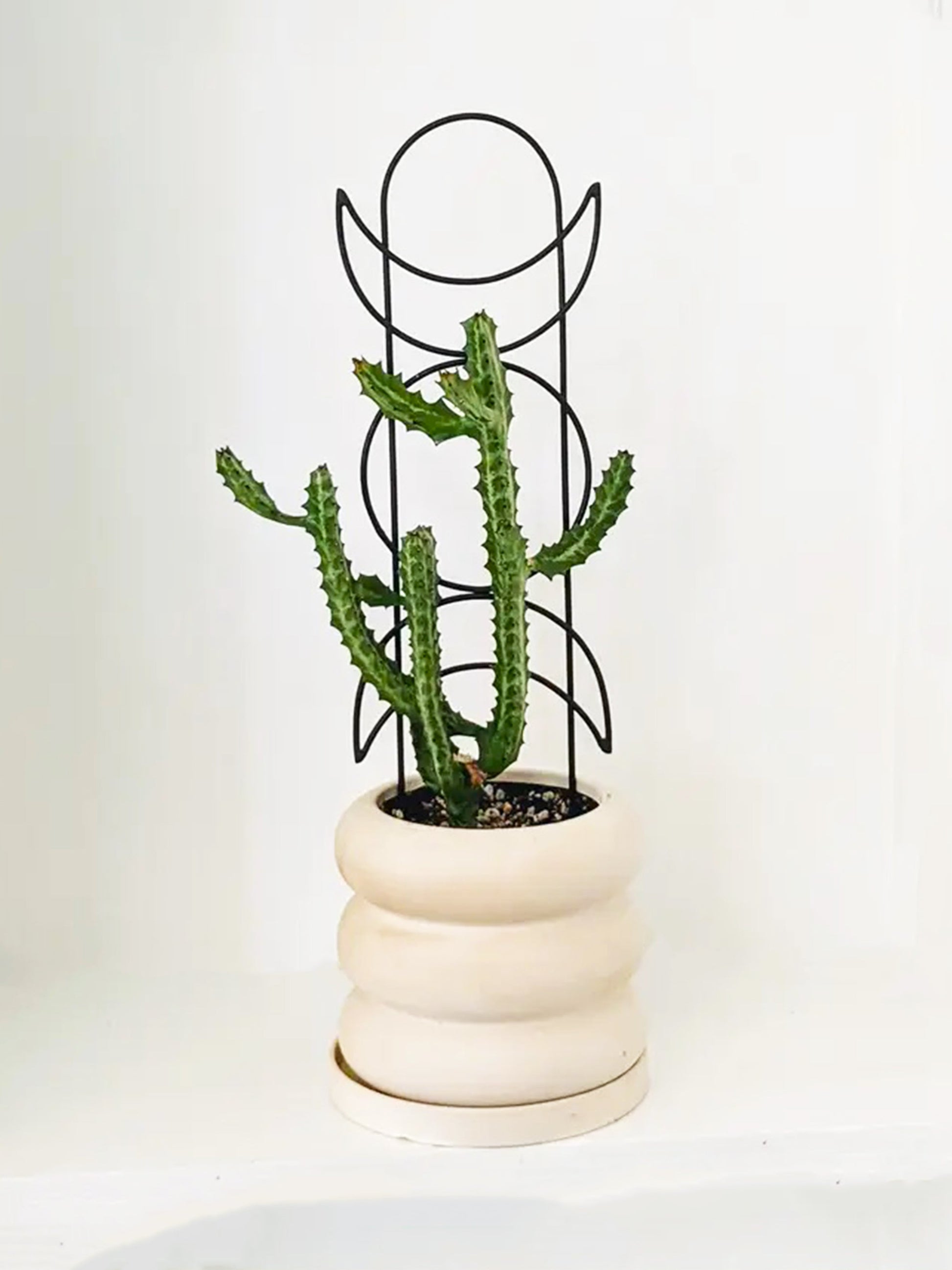 Tutor Metálico Fase Lunar