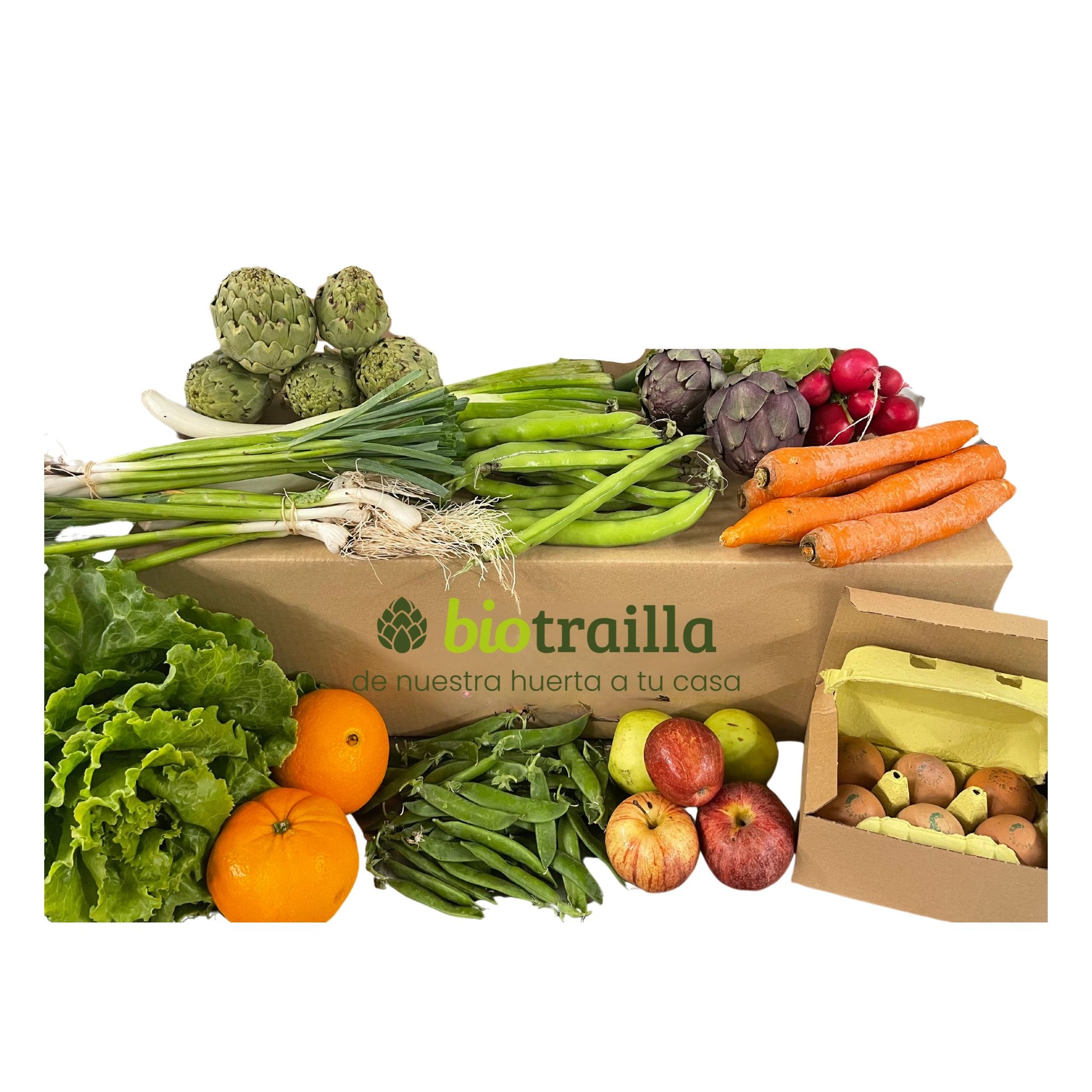 Caja 5kg de fruta, verdura y huevos para niños BIO De La Huerta Navarra_0