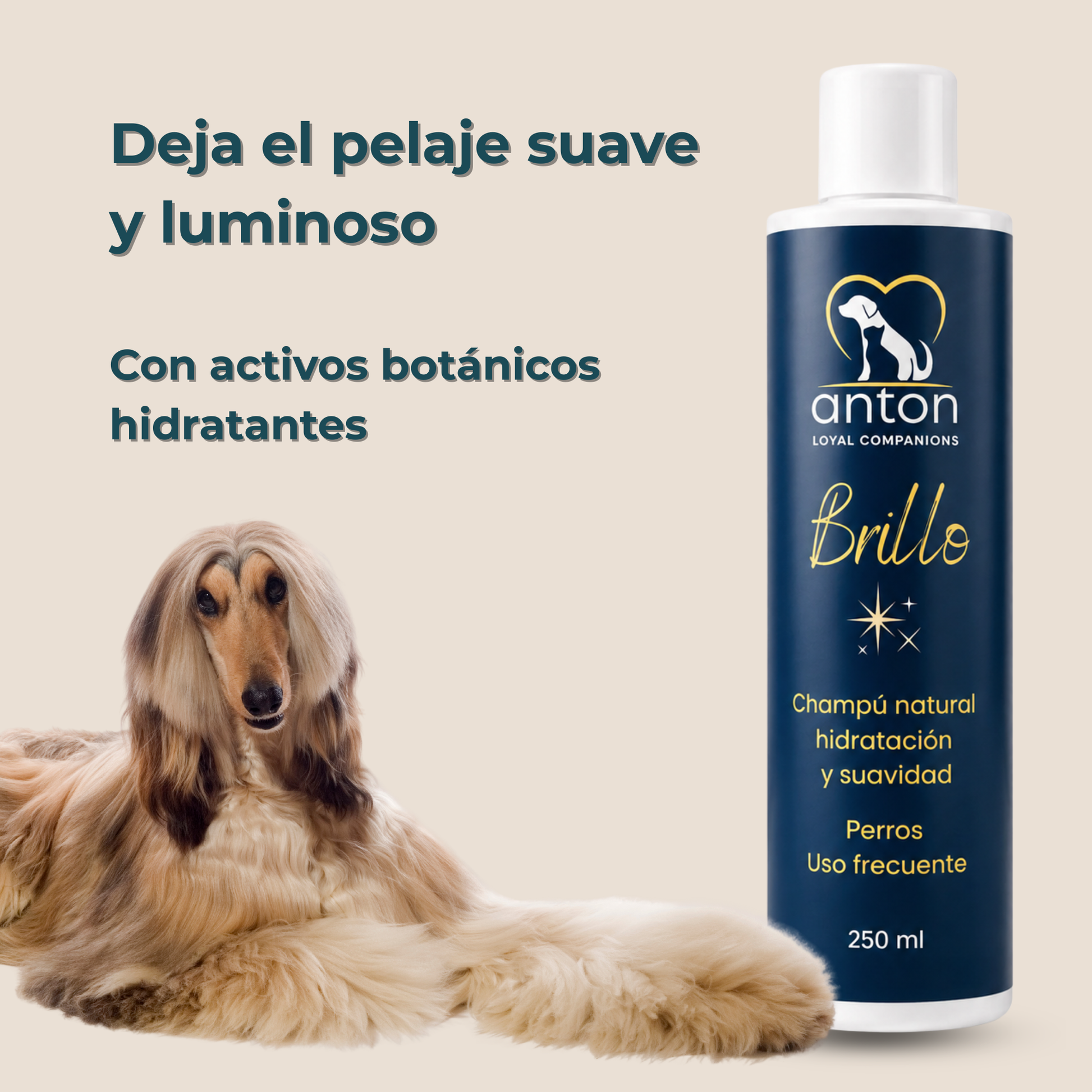 Champú natural para el cuidado del pelaje de perros – Pack 3 x 250 ml_2