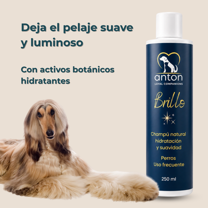 Champú natural para el cuidado del pelaje de perros – Pack 3 x 250 ml_2