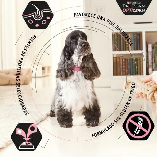 PRO PLAN Mediano OPTIDERMA Salmón 14 kg