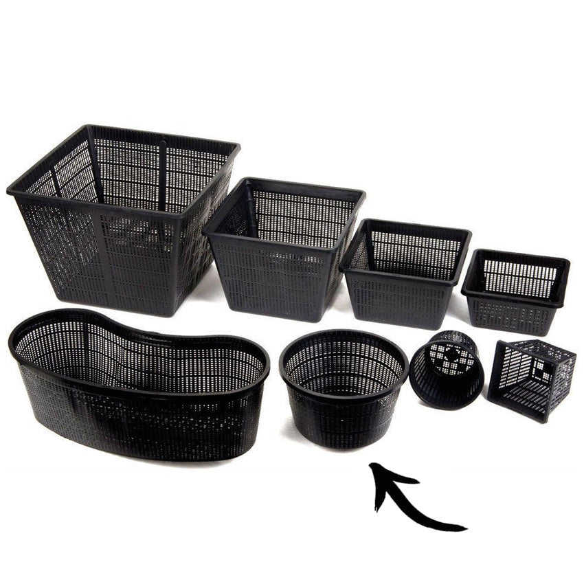 Cesta Estanque - 5 Unidades - Redonda - Ø22 Cm - Cestas Robustas_1