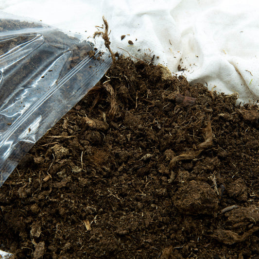 Turba Rubia 6 Litros_0