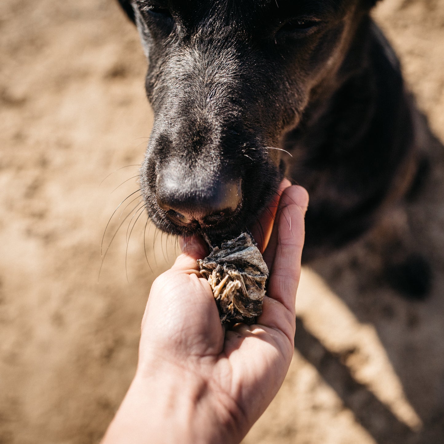 Fish4dogs Snack Dental Natural – Sea Jerky Fish Tiddlers 115 G (pack De 10)_5