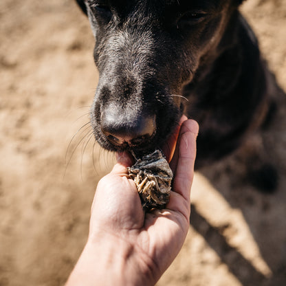 Fish4dogs Snack Dental Natural – Sea Jerky Fish Tiddlers 115 G (pack De 10)