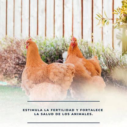 Estimula La Fertilidad De Las Aves De Corral - Pack 3 Soluciones Naturales Vitamínicas 250ml_3